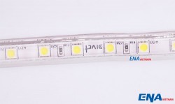 LED dây màu Hồng - Xanh trời mẫu LDA