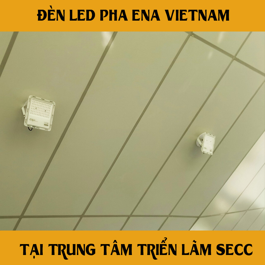 den pha phl ena tại secc sg